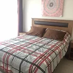 Departamento Nuevo A Pasos De La Playa, Reloj De Flores Casino..